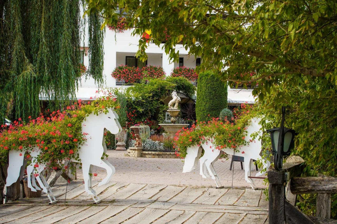 Domeniul Dracula Danes Hotel Buitenkant foto