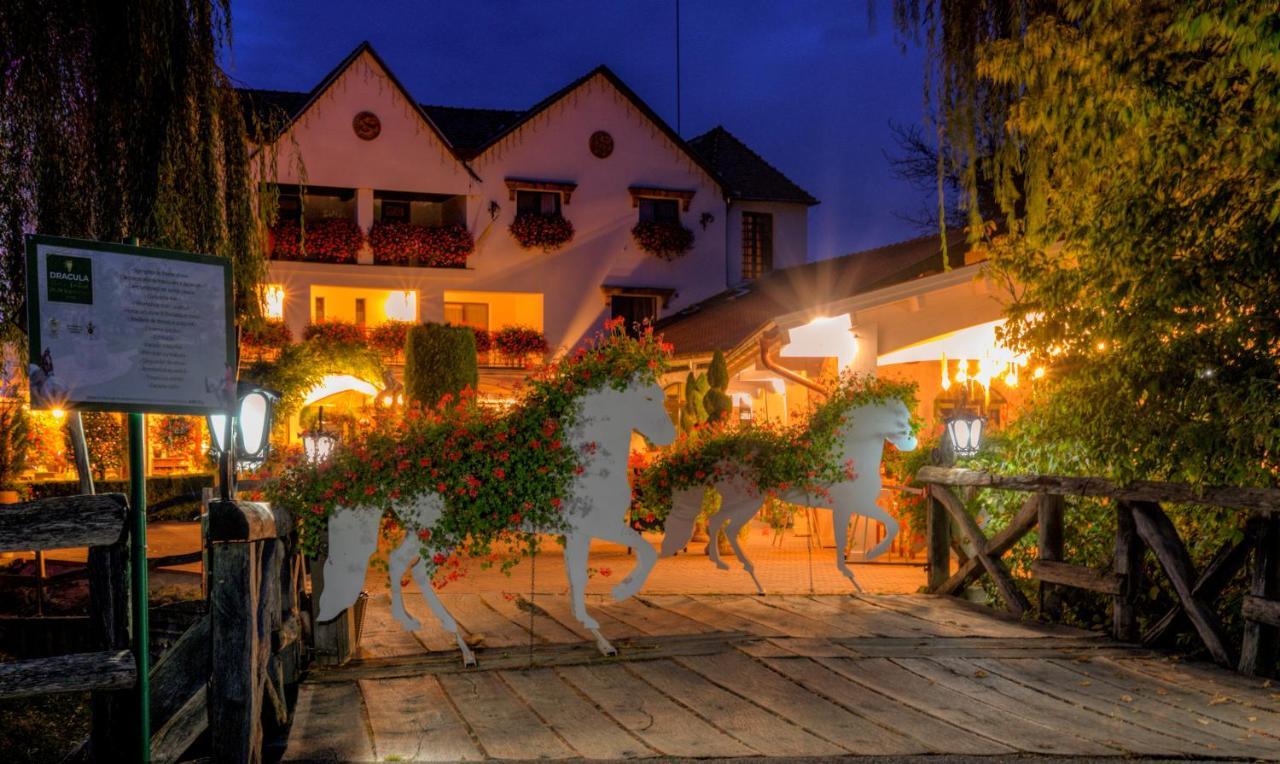 Domeniul Dracula Danes Hotel Buitenkant foto